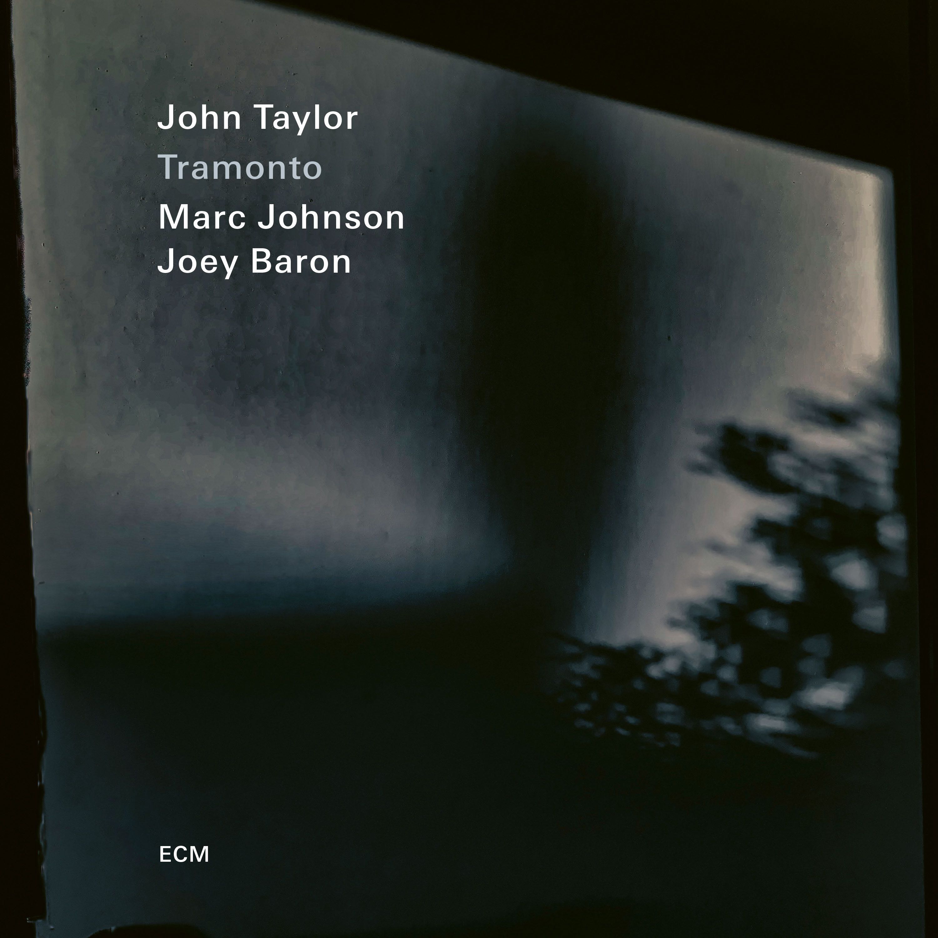 cover  Taylor Tramonto