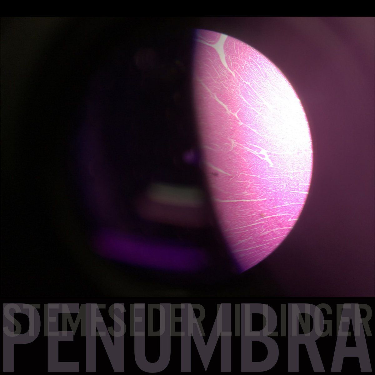 cover stemeseder penumbra